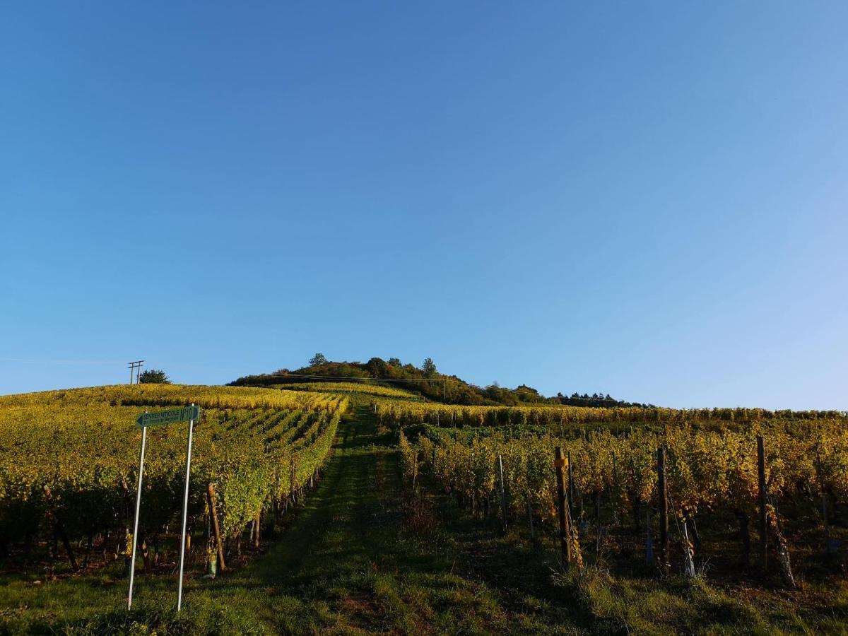 Apartament Cocon De Caractere Au Coeur Des Vignes Alsaciennes Bergheim Zewnętrze zdjęcie