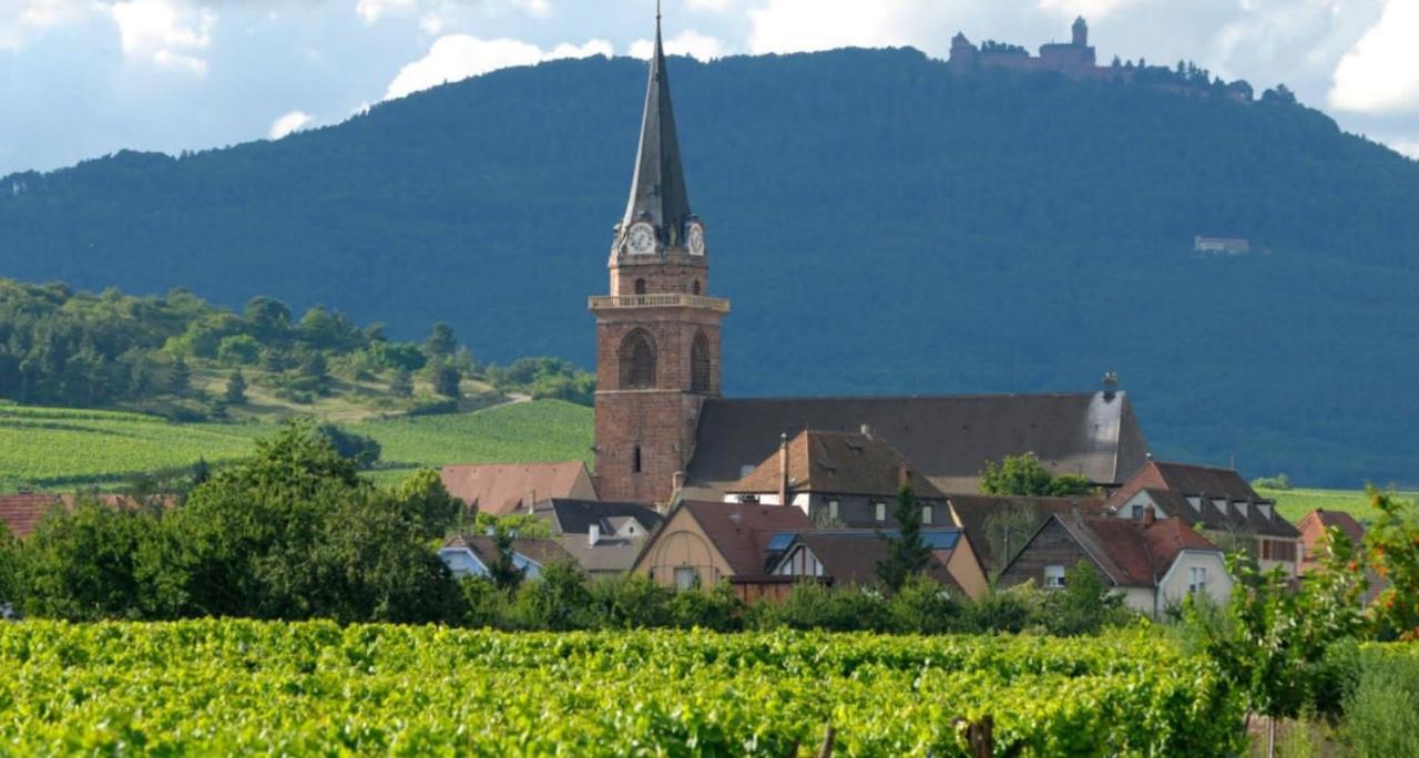 Apartament Cocon De Caractere Au Coeur Des Vignes Alsaciennes Bergheim Zewnętrze zdjęcie